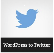 Wordpress to Twitter Plugin Graphic